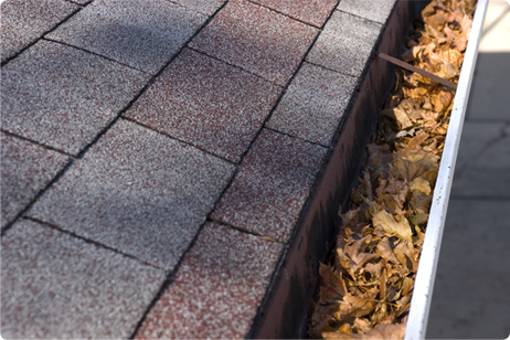Gutter Cleaning